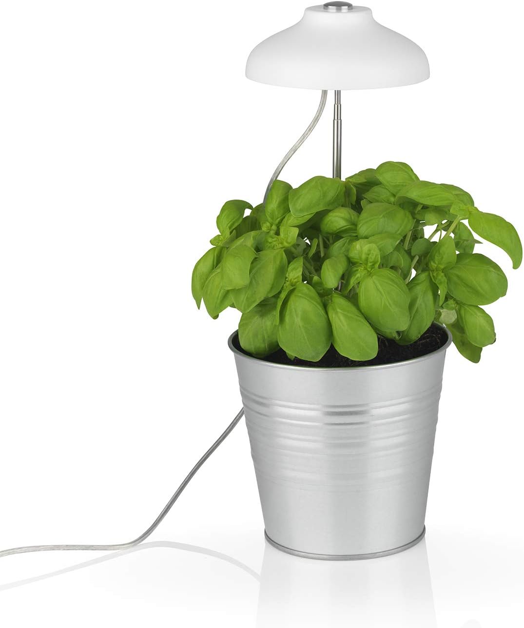 MAXXMEE LED-Pflanzenleuchte mit Teleskopstab | Optimale Lichttemperatur durch weiße & Pinke LEDs für das Pflanzenwachstum | Einfache Befestigung, inkl. 3 Clips zum fixieren | Mit Timerfunktion [weiß] | MAXXMEE, weiße und pinke LEDs, 3 Clips, Vollspektrum, Zimmerpflanzen, Wachstum, energiesparend, höhenverstellbar