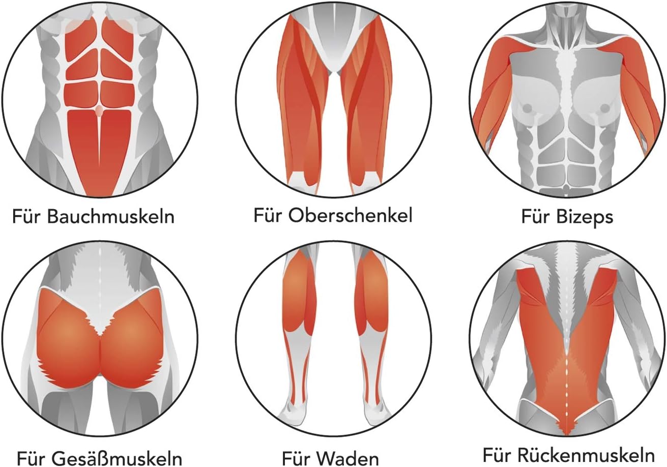MAXXMEE Muskelstimulation für Bauch Beine Po | EMS Trainingsgerät mit 6 Modi, Elektrostimulation für den ganzen Körper | Mit selbsthaftenden Gel-Films — Ansicht 6