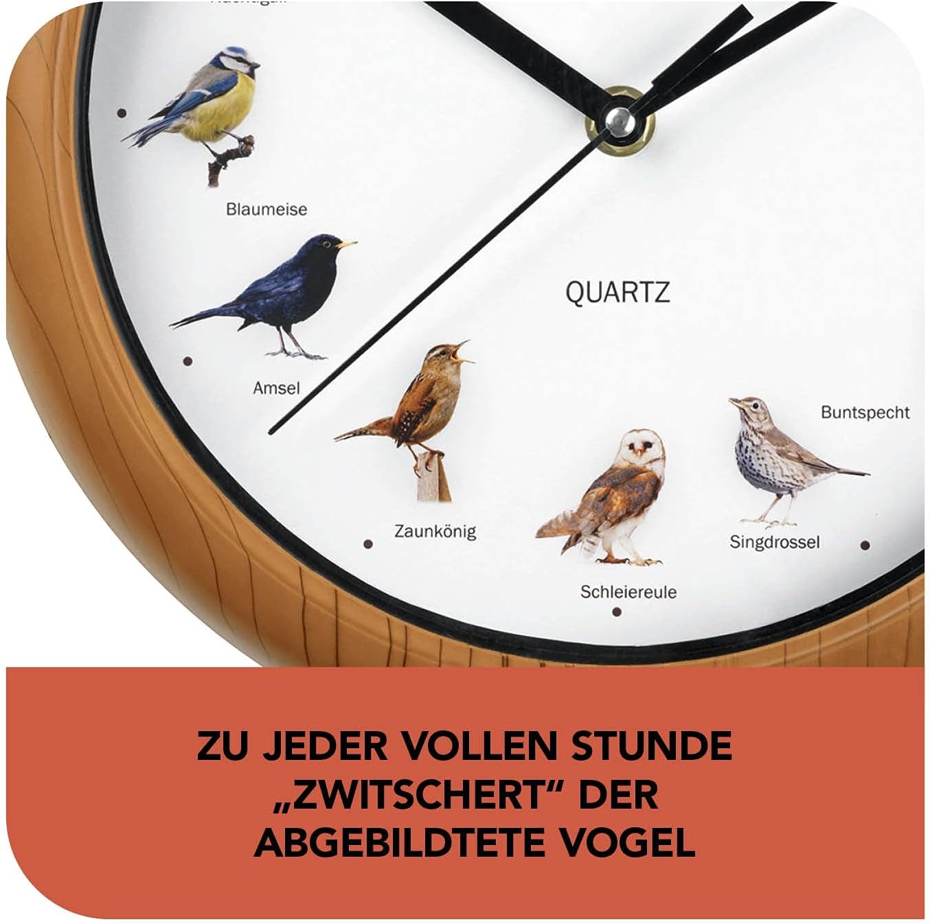 MAXXMEE Wanduhr mit Vogelstimmen | Wanduhr mit 12 Singvogelstimmen und naturgetreuen Vogelmotiven | Automatische Abschaltung zwischen 21 und 5 Uhr | Fluoreszierend: Vögel leuchten im Dunkeln [25cm] — Ansicht 2