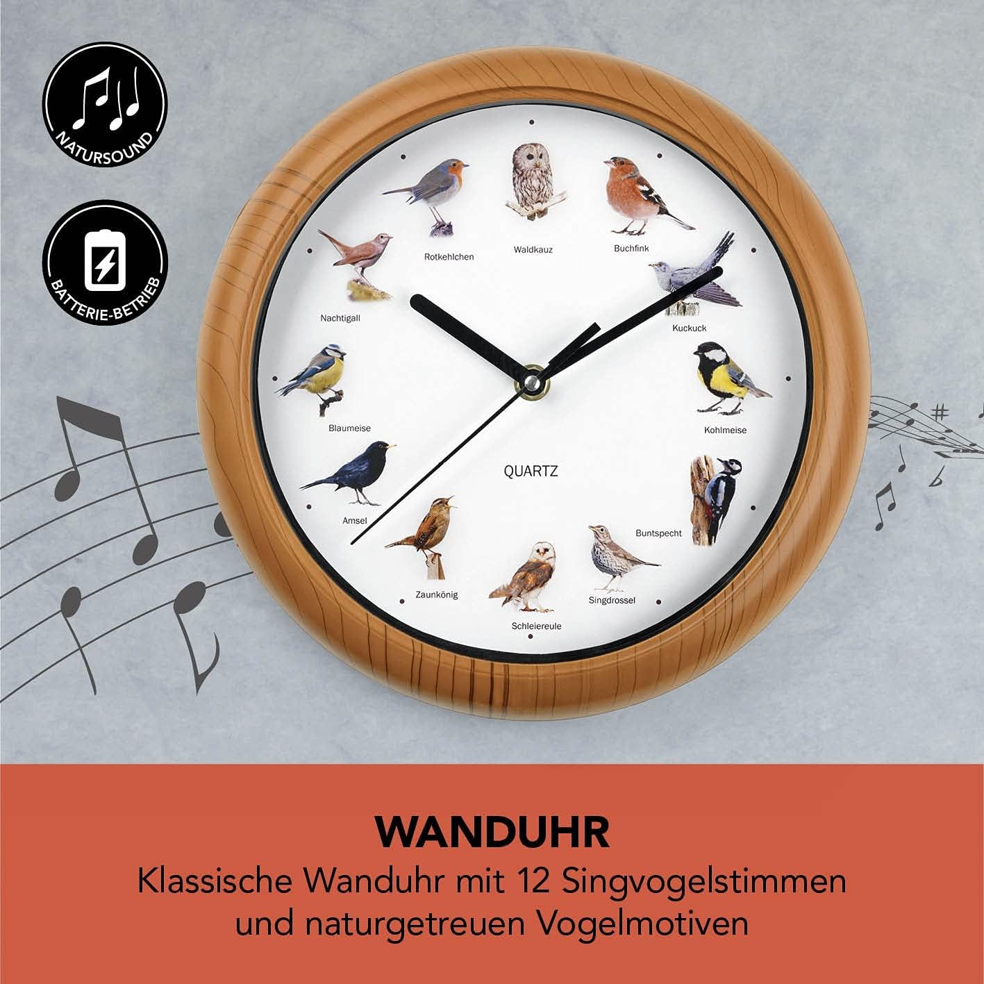 MAXXMEE Wanduhr mit Vogelstimmen | Wanduhr mit 12 Singvogelstimmen und naturgetreuen Vogelmotiven | Automatische Abschaltung zwischen 21 und 5 Uhr | Fluoreszierend: Vögel leuchten im Dunkeln [25cm] — Ansicht 3