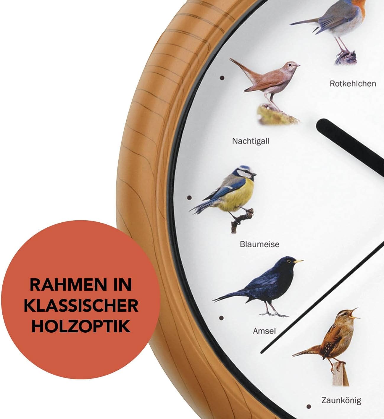 MAXXMEE Wanduhr mit Vogelstimmen | Wanduhr mit 12 Singvogelstimmen und naturgetreuen Vogelmotiven | Automatische Abschaltung zwischen 21 und 5 Uhr | Fluoreszierend: Vögel leuchten im Dunkeln [25cm] — Ansicht 4