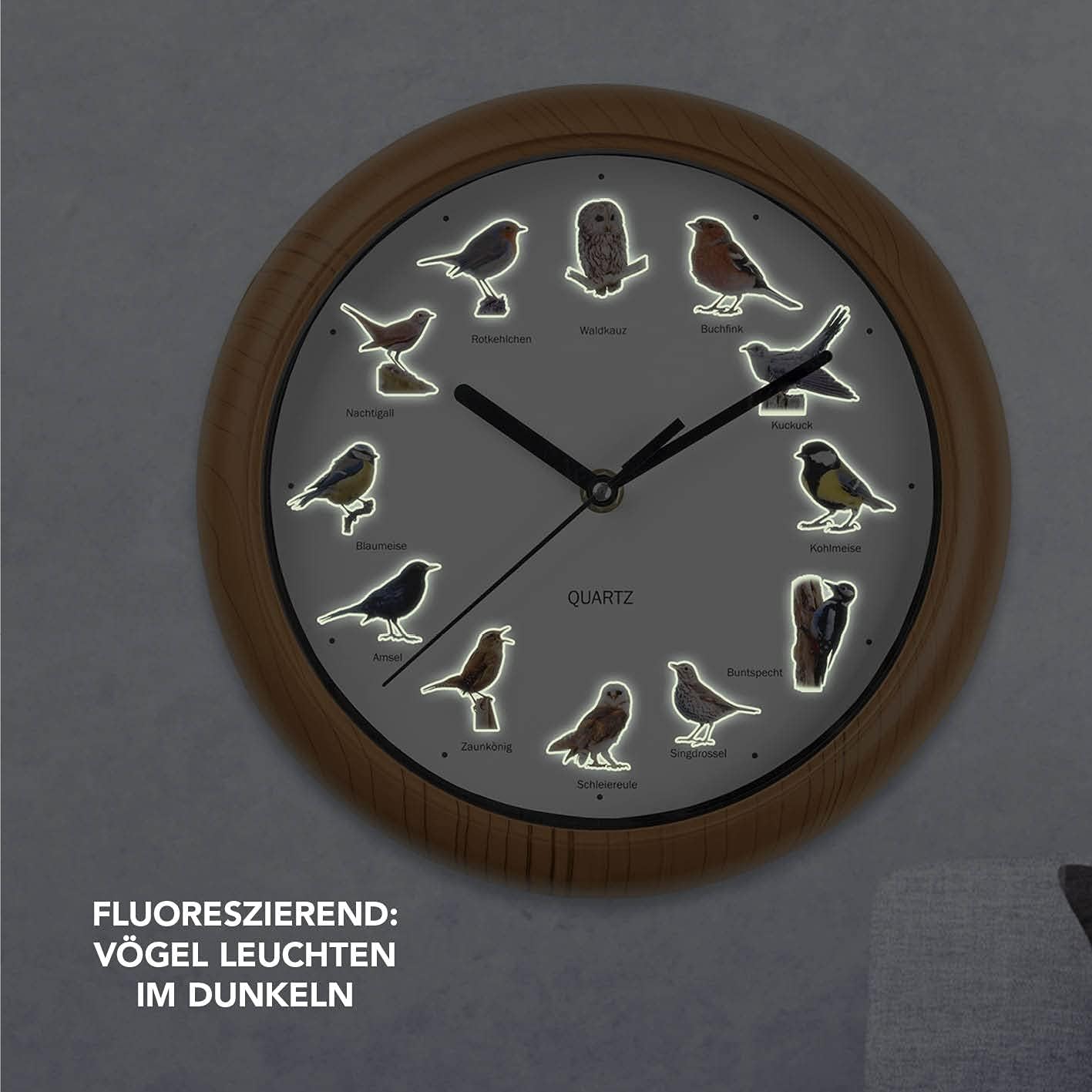 MAXXMEE Wanduhr mit Vogelstimmen | Wanduhr mit 12 Singvogelstimmen und naturgetreuen Vogelmotiven | Automatische Abschaltung zwischen 21 und 5 Uhr | Fluoreszierend: Vögel leuchten im Dunkeln [25cm] — Ansicht 5