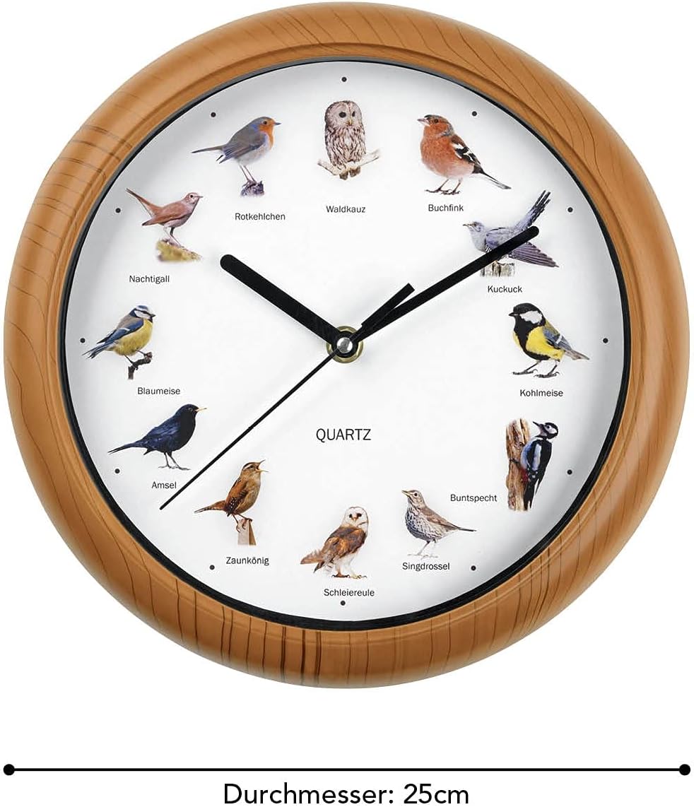 MAXXMEE Wanduhr mit Vogelstimmen | Wanduhr mit 12 Singvogelstimmen und naturgetreuen Vogelmotiven | Automatische Abschaltung zwischen 21 und 5 Uhr | Fluoreszierend: Vögel leuchten im Dunkeln [25cm] — Ansicht 6