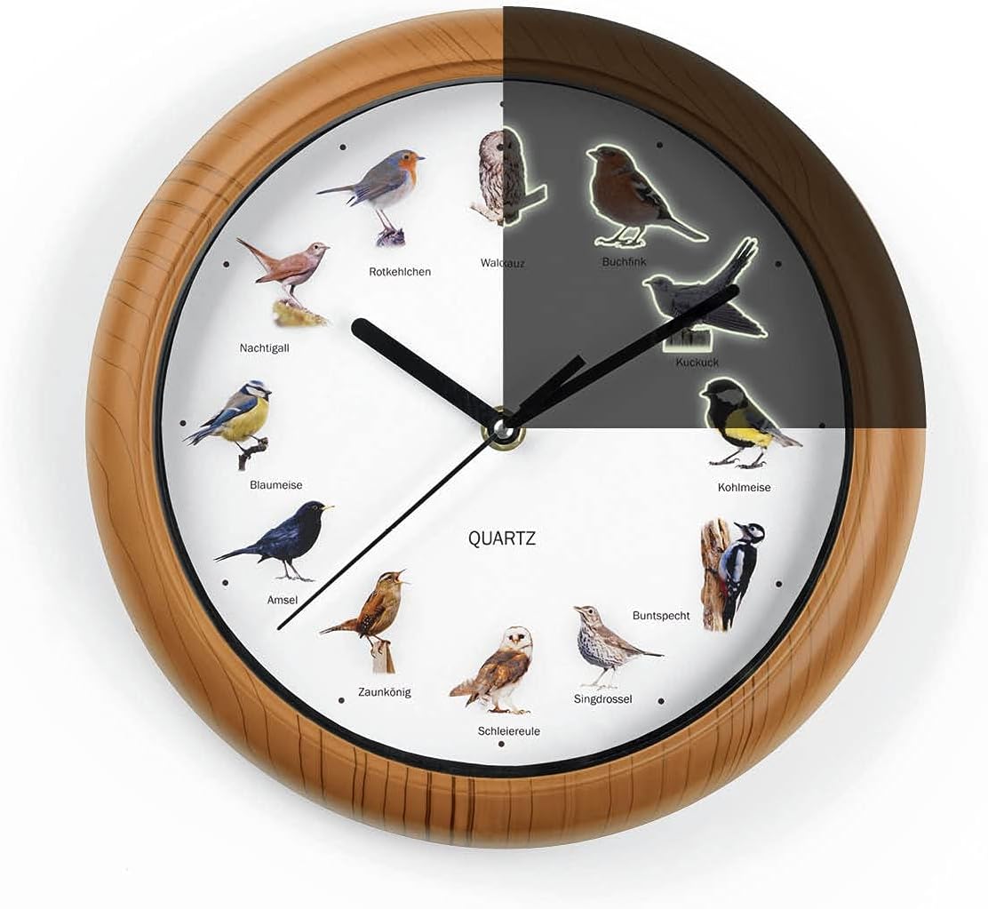 MAXXMEE Wanduhr mit Vogelstimmen | Wanduhr mit 12 Singvogelstimmen und naturgetreuen Vogelmotiven | Automatische Abschaltung zwischen 21 und 5 Uhr | Fluoreszierend: Vögel leuchten im Dunkeln [25cm]
